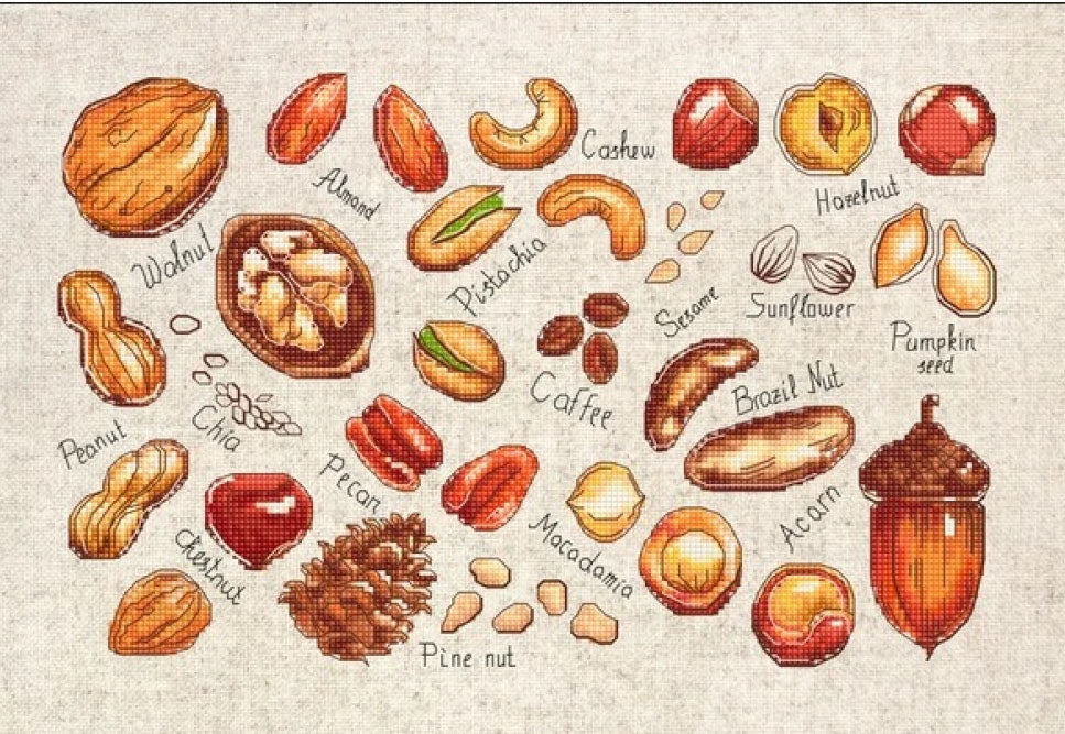 Counted Cross stitch kit Nuts and seeds DIY Luca-S