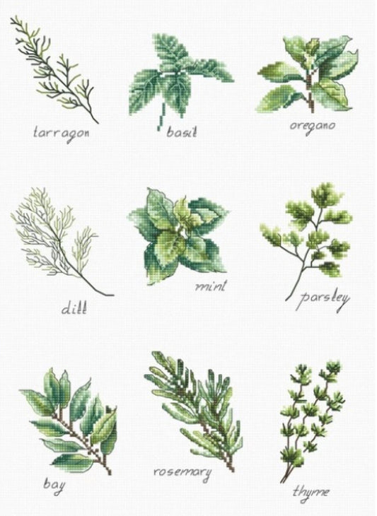 Counted Cross stitch kit Spices and herbs DIY Luca-S