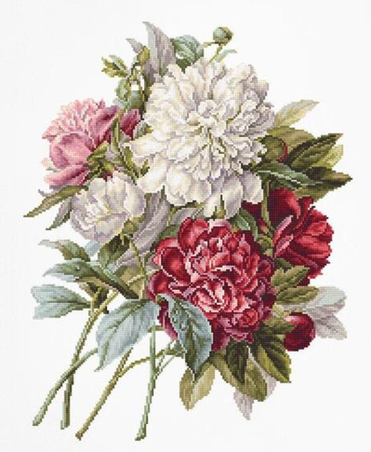 Counted Cross stitch kit Peonies DIY Luca-S