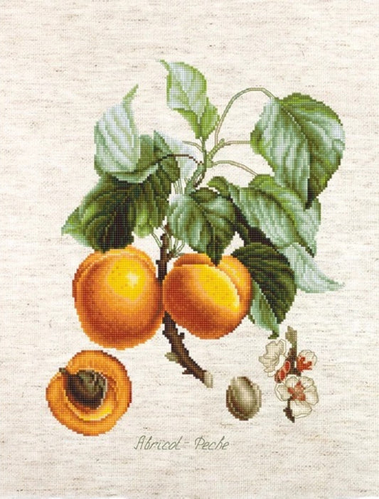 Counted Cross Stitch Kit Peaches DIY Luca-S