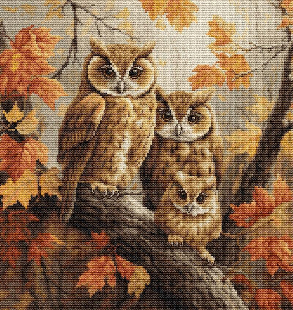 Counted Cross Stitch Kit Owls family DIY Luca-S