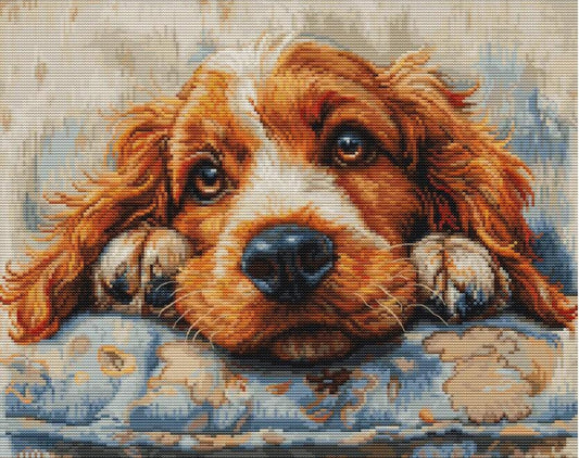 Counted Cross Stitch Kit Cocker spaniel Dog DIY Luca-S ©Maria-Magdalena