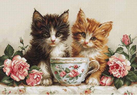 Counted Cross Stitch Kit Cats DIY Luca-S