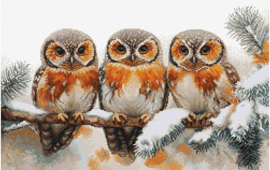 Counted Cross Stitch Kit Winter owls DIY Luca-S