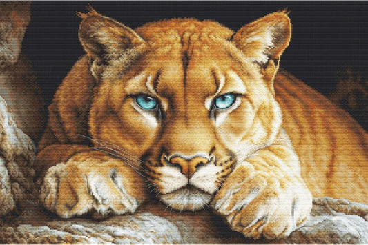 Counted Cross Stitch Kit Wild Cat DIY Luca-S