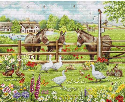 Counted Cross Stitch Kit Donkey Farm DIY ©Richard Macneil Luca-S