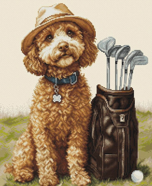 Counted Cross Stitch Kit Dog DIY Luca-S