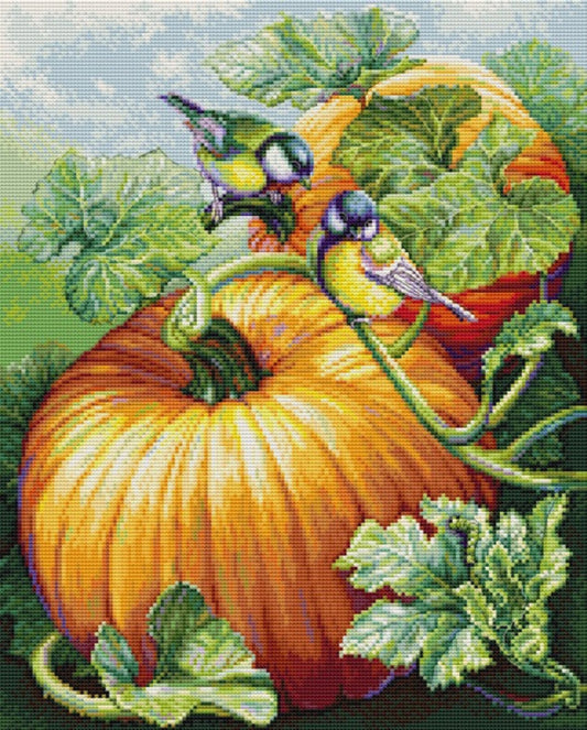 Counted Cross Stitch Kit Pumpkin DIY Luca-S