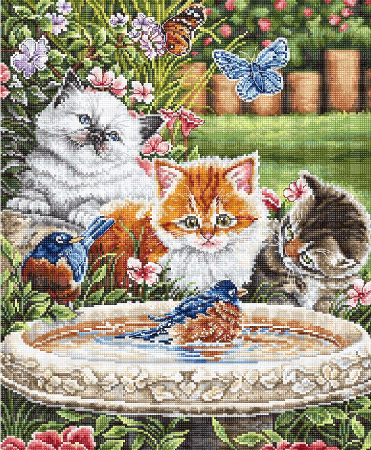 Counted Cross Stitch Kit Cats DIY Letistitch