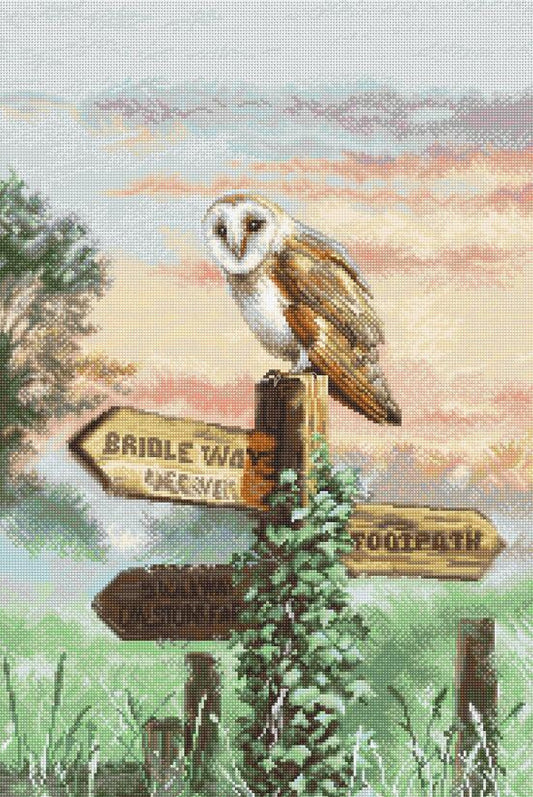 Counted Cross Stitch Kit Owl DIY Letistitch
