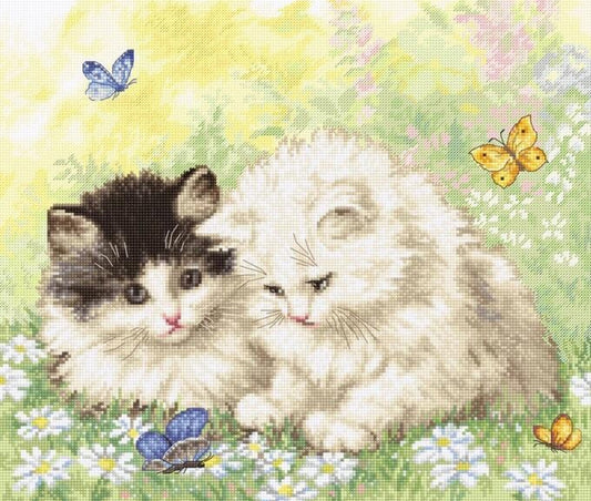 Counted Cross Stitch Kit Cats DIY Letistitch