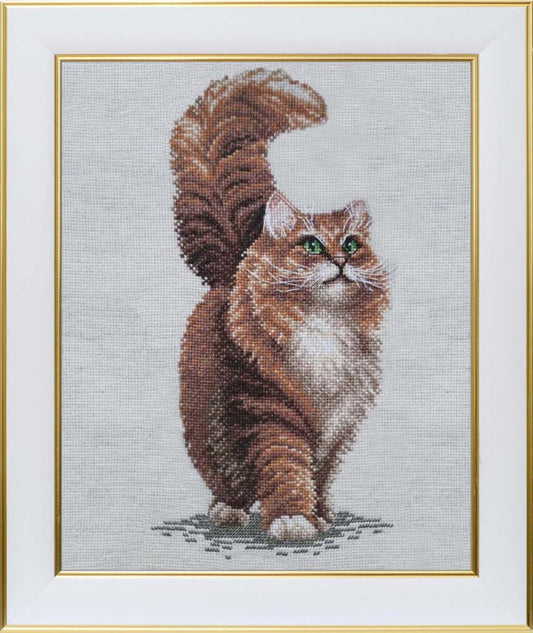 Counted Cross Stitch Kit Cat DIY VDV
