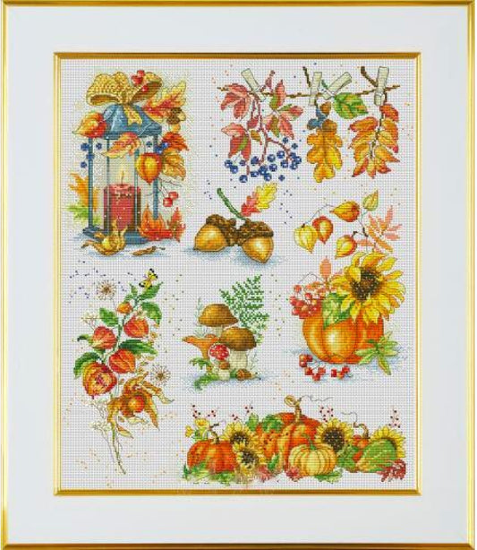 Counted Cross Stitch Kit Autumn sampler DIY VDV