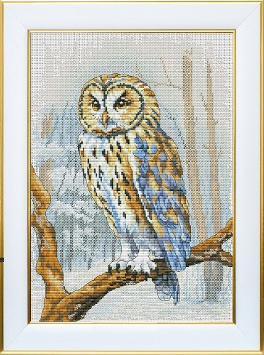 Counted Cross Stitch Kit Owl DIY VDV