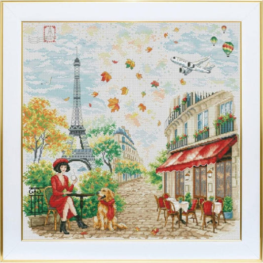 Counted Cross Stitch Kit Paris DIY VDV