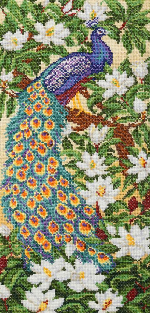Counted Cross Stitch Kit Peacock Bird DIY VDV