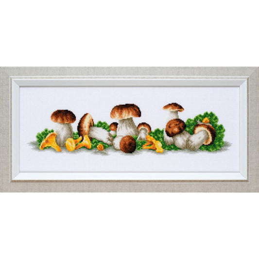 Counted Cross Stitch Kit Mushrooms DIY VDV