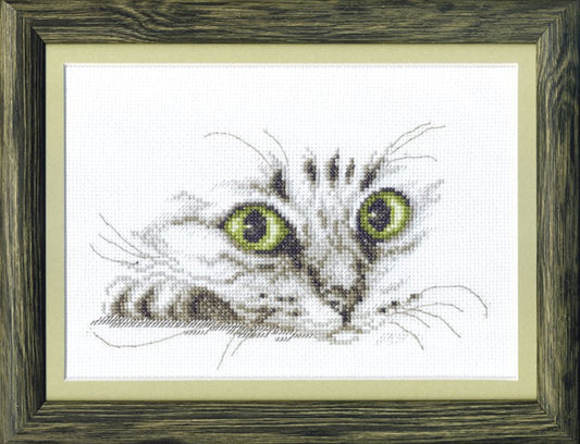 Counted Cross Stitch Kit Cat DIY Charivna mit