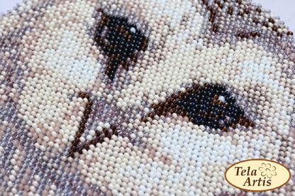 Bead Embroidery Kit Owl DIY Tela Artis