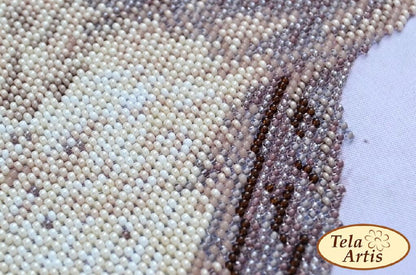 Bead Embroidery Kit Owl DIY Tela Artis