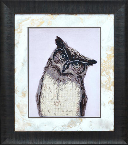 Bead Embroidery Kit Owl DIY Tela Artis