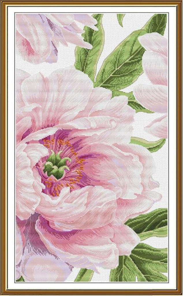 A framed floral artwork featuring large pale pink peony flowers with green leaves on a white background, enclosed in a gold-toned frame.