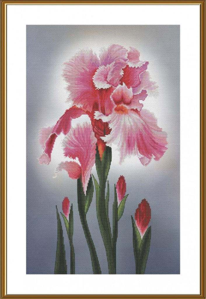 Counted Cross Stitch Kit Iris Flowers DIY Nova Sloboda