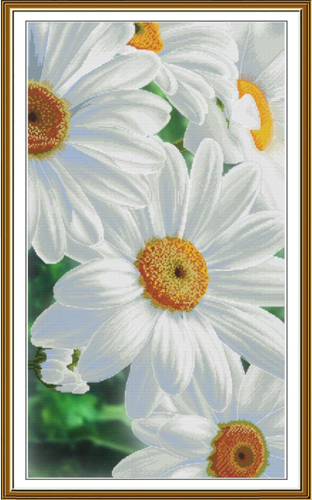 A framed floral artwork featuring large white daisy-like flowers with yellow-orange centers and soft green foliage, presented within a gold-toned frame.