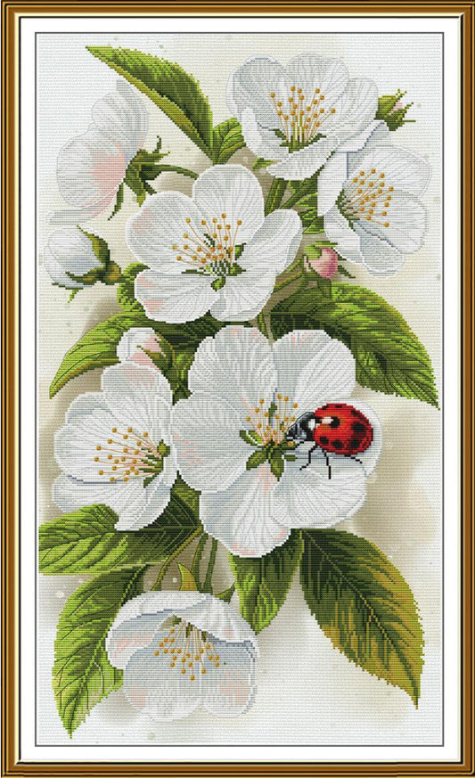 A framed botanical artwork showing white blossoms with green leaves and a small red ladybug on a cream background, enclosed in a gold-toned frame.