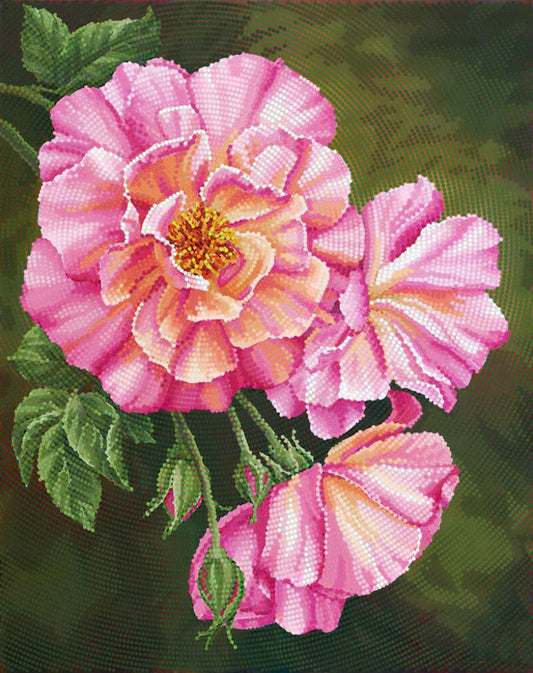 Close-up of a pink flower with green leaves on a dark background