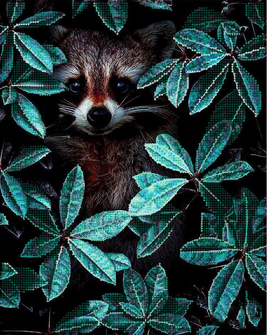 Kit de broderie de perles Raton laveur DIY