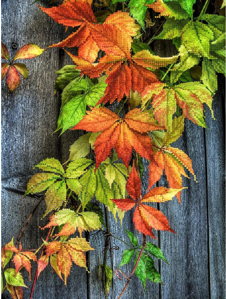 Kit de broderie de perles Raisins sauvages DIY