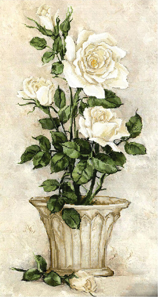 White roses in a decorative vase on a textured beige background