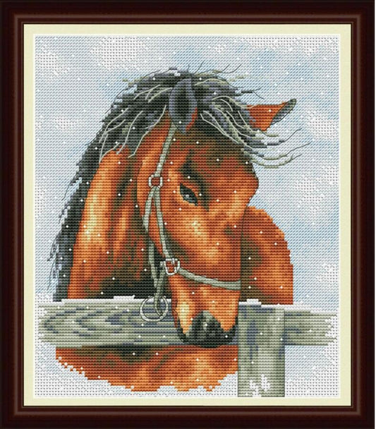 Counted Cross Stitch Kit Horse DIY Olanta