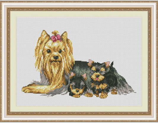Counted Cross Stitch Kit Yorkshire Terriers Dog DIY Olanta
