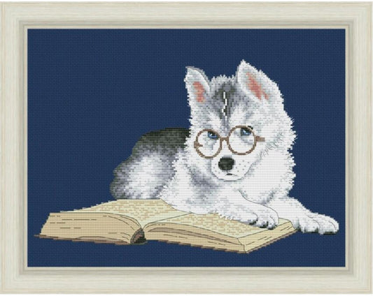 Counted Cross Stitch Kit Dog DIY Olanta