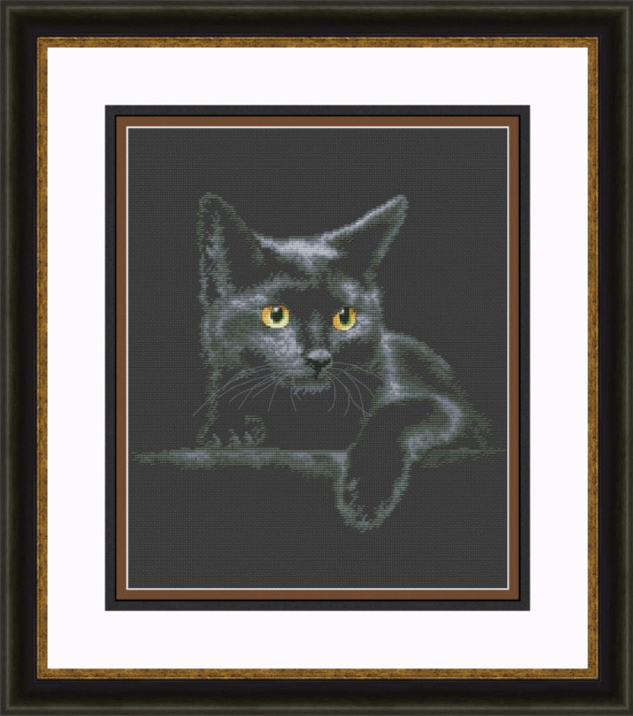 Counted Cross Stitch Kit Black Cat DIY Olanta