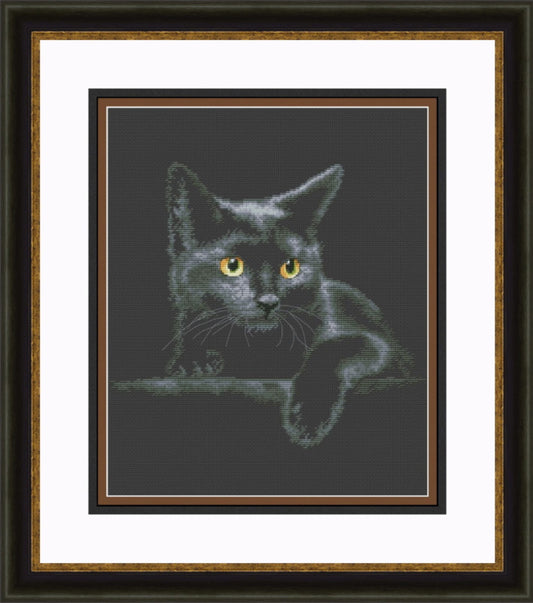 Counted Cross Stitch Kit Black Cat DIY Olanta
