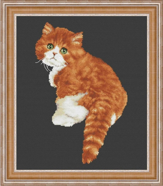 Kreuzstichset „Katze“ zum Selbermachen, unbedruckte Leinwand 