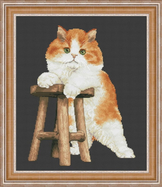Kreuzstichset „Katze“ zum Selbermachen, unbedruckte Leinwand 