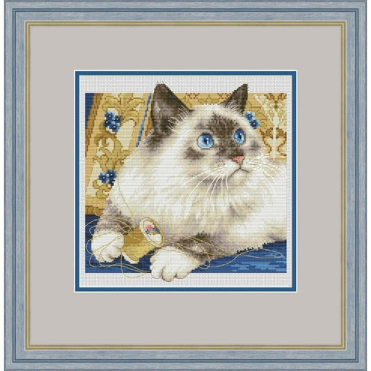 Kreuzstichset „Katze“ zum Selbermachen, unbedruckte Leinwand 