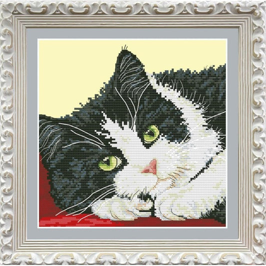 Counted Cross Stitch Kit Cat DIY Olanta