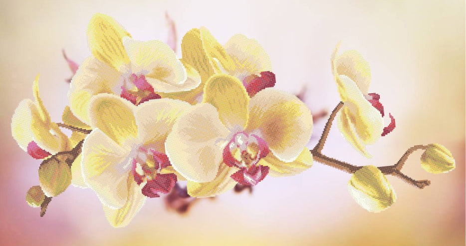 Bead Embroidery Kit Orchid Flowers DIY