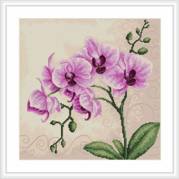 Counted Cross stitch kit Orchids Luca-S DIY Unprinted canvas - DIY-craftkits