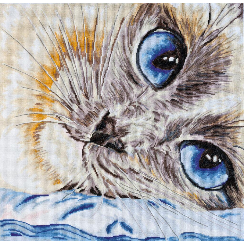 Counted Cross stitch kit Cat DIY Unprinted canvas - DIY-craftkits