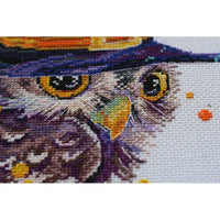 Counted Cross stitch kit Owl DIY Unprinted canvas - DIY-craftkits