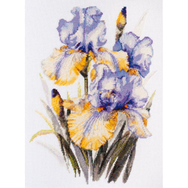 Counted Cross stitch kit Irises DIY Unprinted canvas - DIY-craftkits
