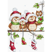 Counted Cross stitch kit Owls Luca-S DIY Unprinted canvas - DIY-craftkits