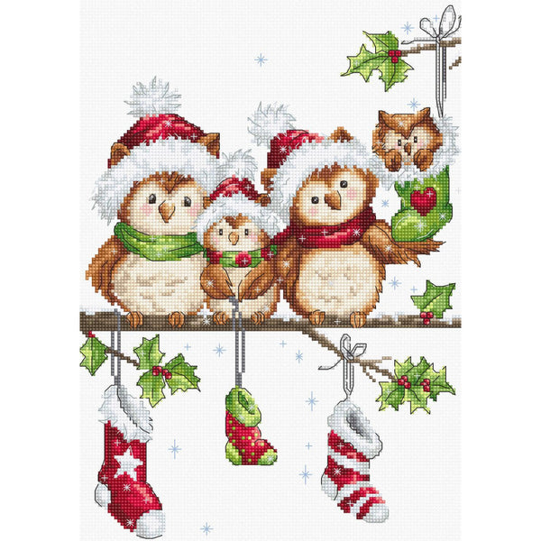Counted Cross stitch kit Owls Luca-S DIY Unprinted canvas - DIY-craftkits