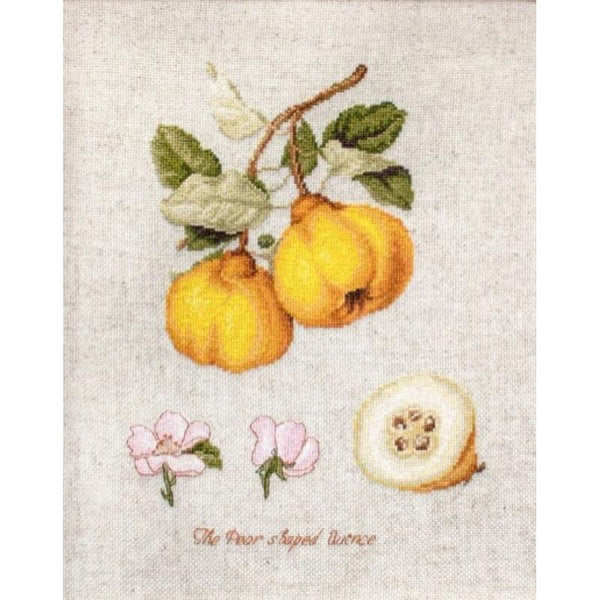 Counted Cross stitch kit Quince Luca-S DIY Unprinted canvas (Aida) - DIY-craftkits